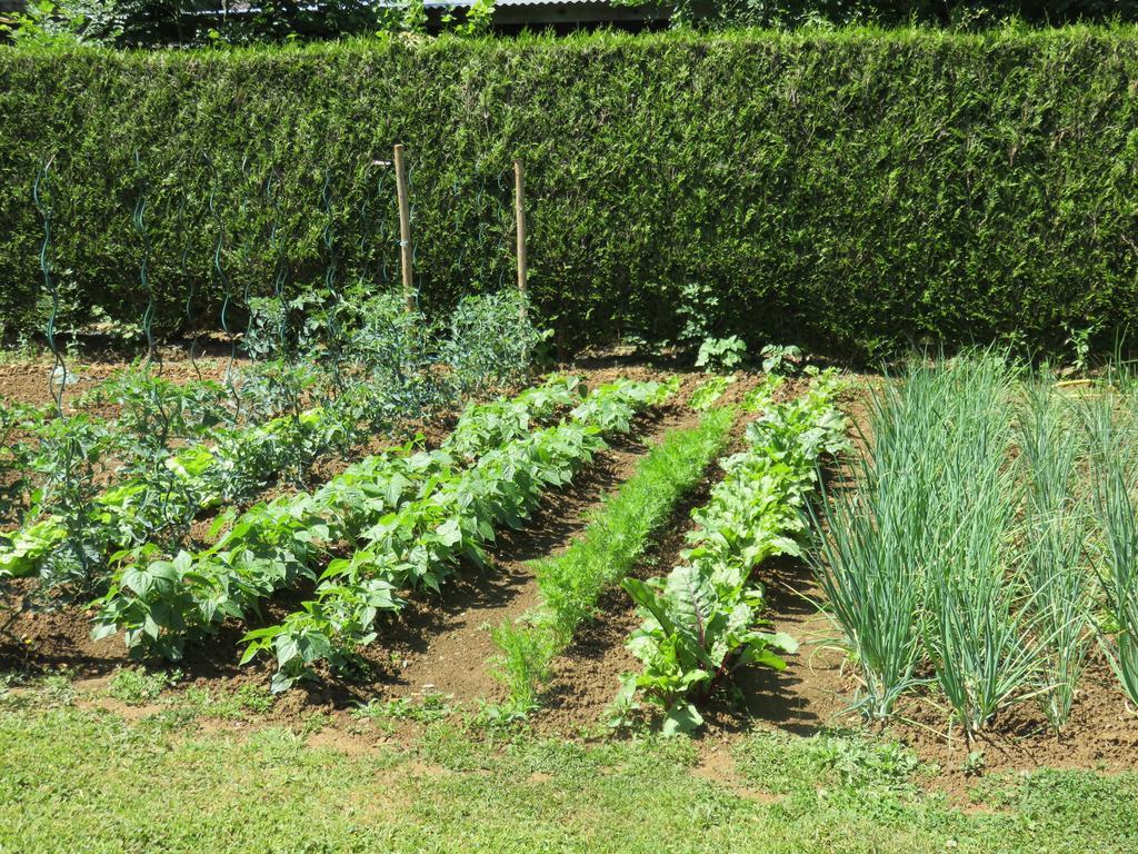 Moitron-sur-Sarthe Les Quatre Saisons Bed & Breakfast エクステリア 写真