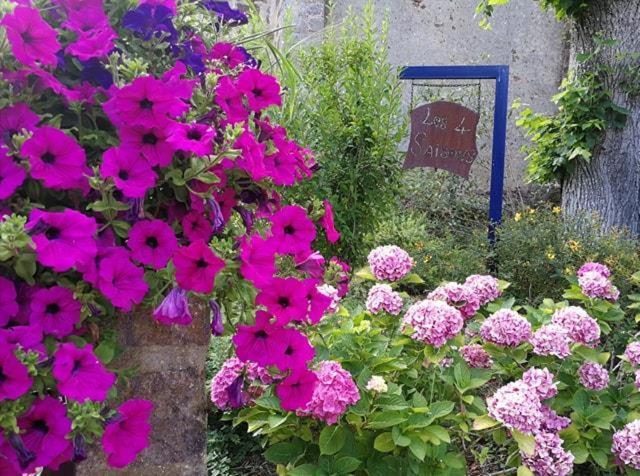 Moitron-sur-Sarthe Les Quatre Saisons Bed & Breakfast エクステリア 写真